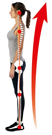 かかと重心姿勢.png