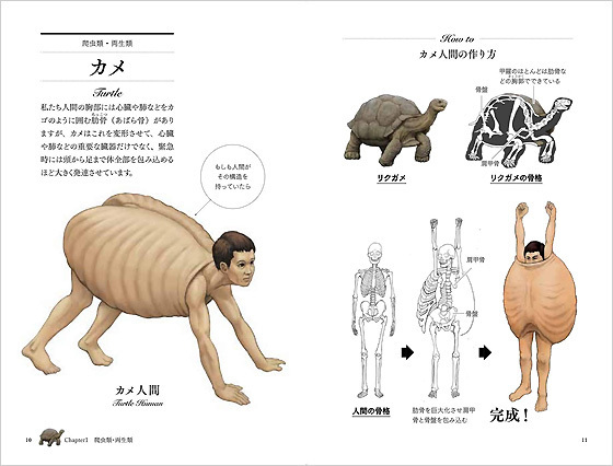 カメの甲羅はあばら骨_01.jpg