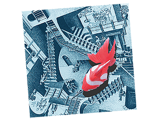 カラクリ金魚_エッシャー.png