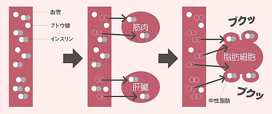 眠れなくなるほど面白い糖質の話.jpg