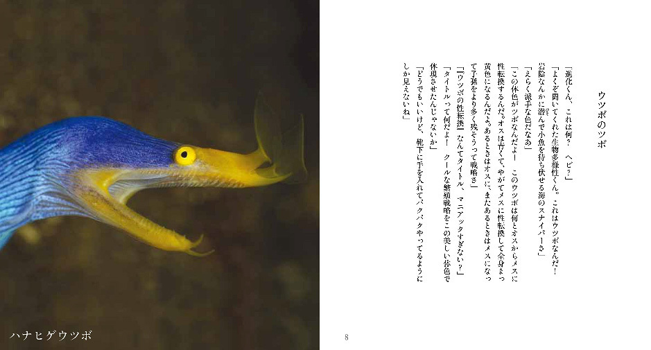 進化くん_ウツボ.jpg