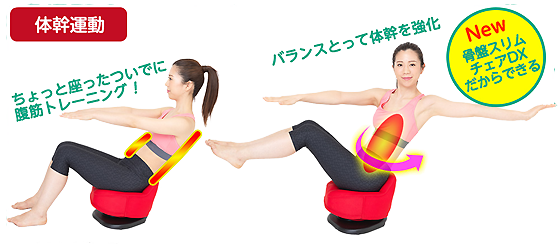 骨盤スリムチェアDX.png