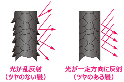 髪にツヤ.png