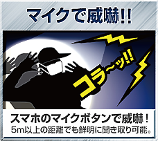 GS-DVYPTZ-101_02.png