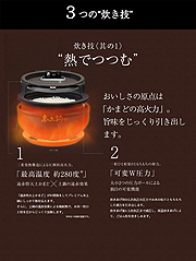 JPG-S100_01.jpg