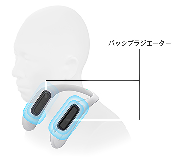 SRS-WS1_02.png